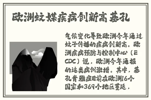 金银瓶4葡萄熟了
